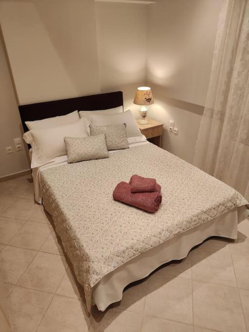 Lefkothea'S House Apartment Athena Bagian luar foto